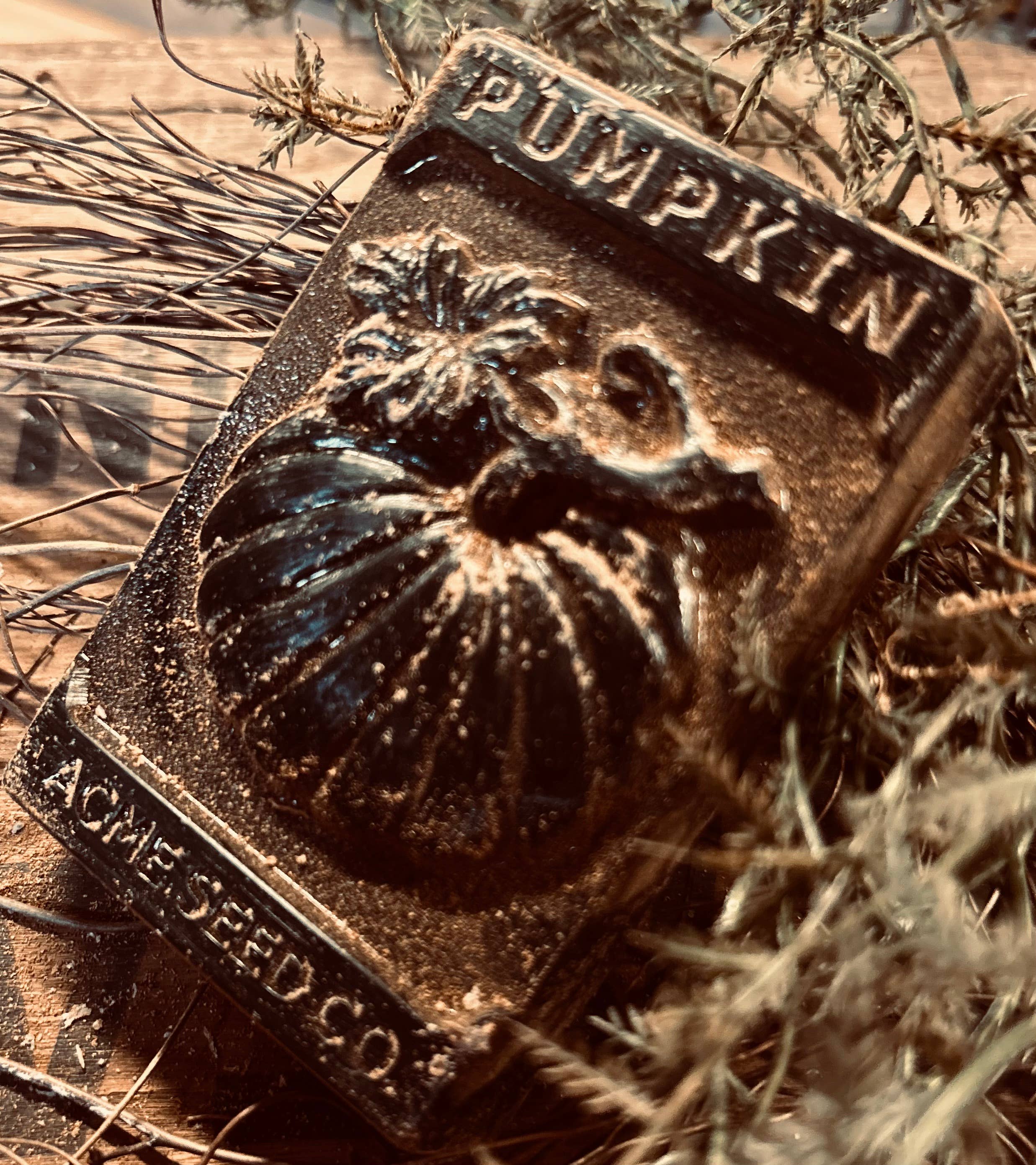 The Cranberry Cornstalk Co. - Wholesale Decorative Tabletop Object - Pumpkin Seed Packet Bowl Filler4