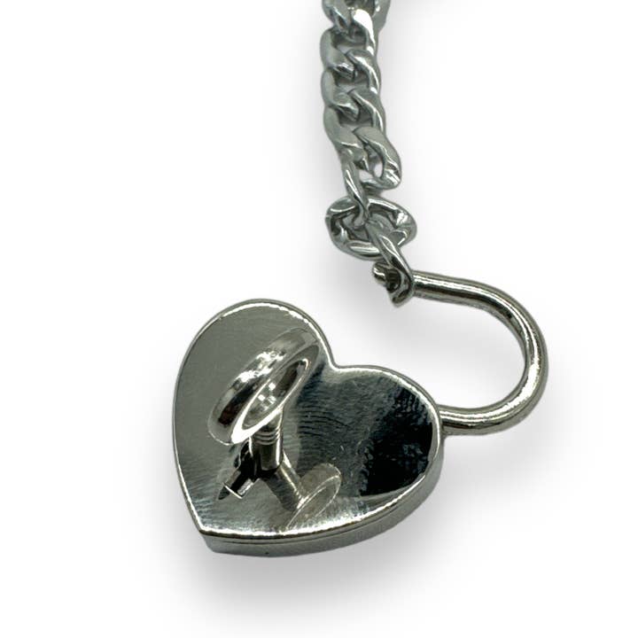 Kinky Pleasure - Wholesale Choker/collar - Kinky Pleasure - AX101 - Luxury Choker - Silver - 65cm4