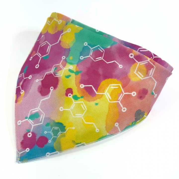Dopamine on Rainbow Bandana for wholesale by Legit Adorable Pets