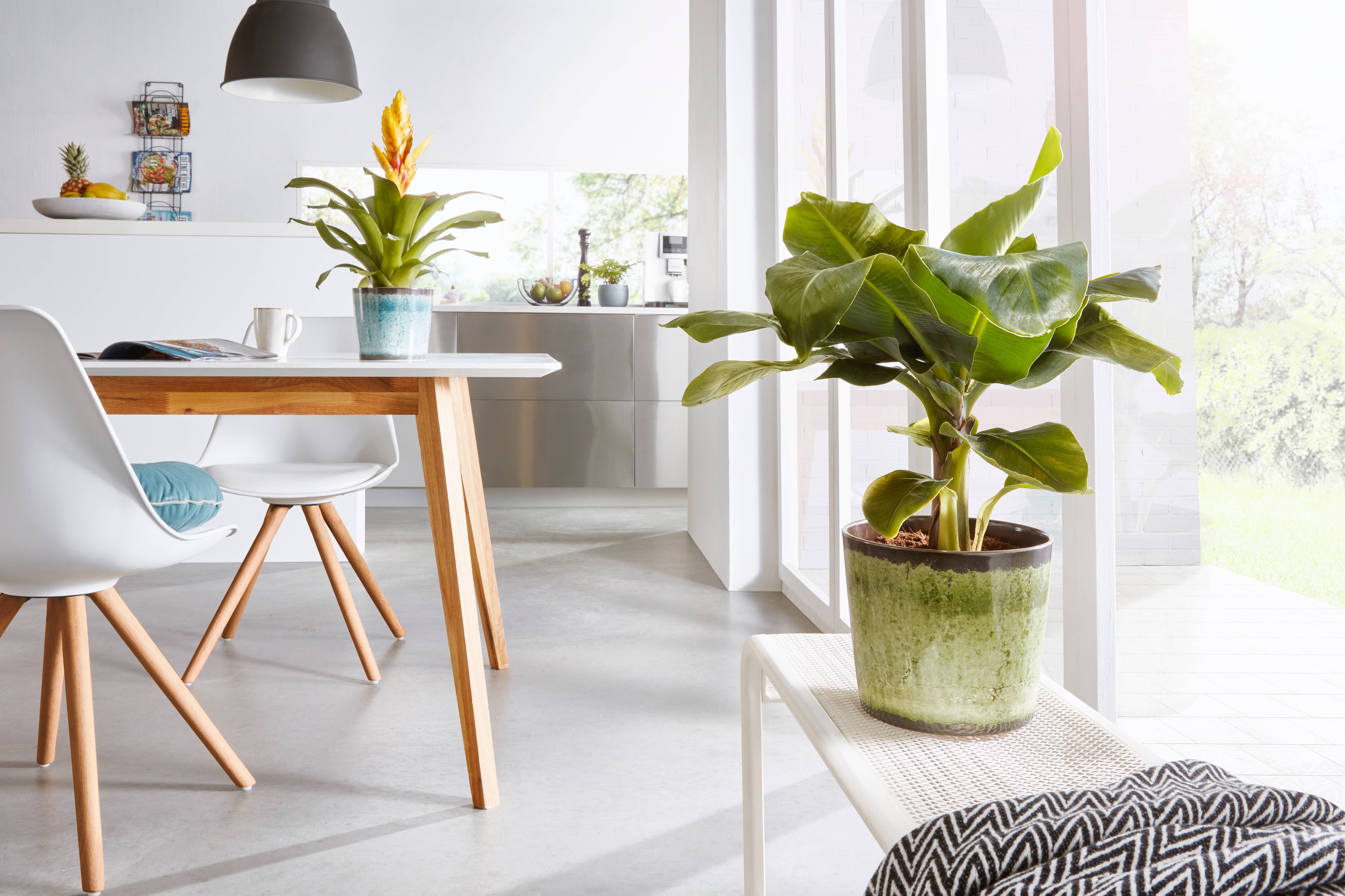 Scheurich - Wholesale Plant Pot - 870 ceramic flower pot/planter1