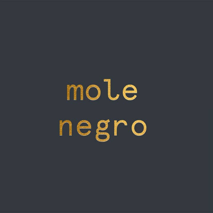 X I L L I - Wholesale Sauce - Mole Negro1