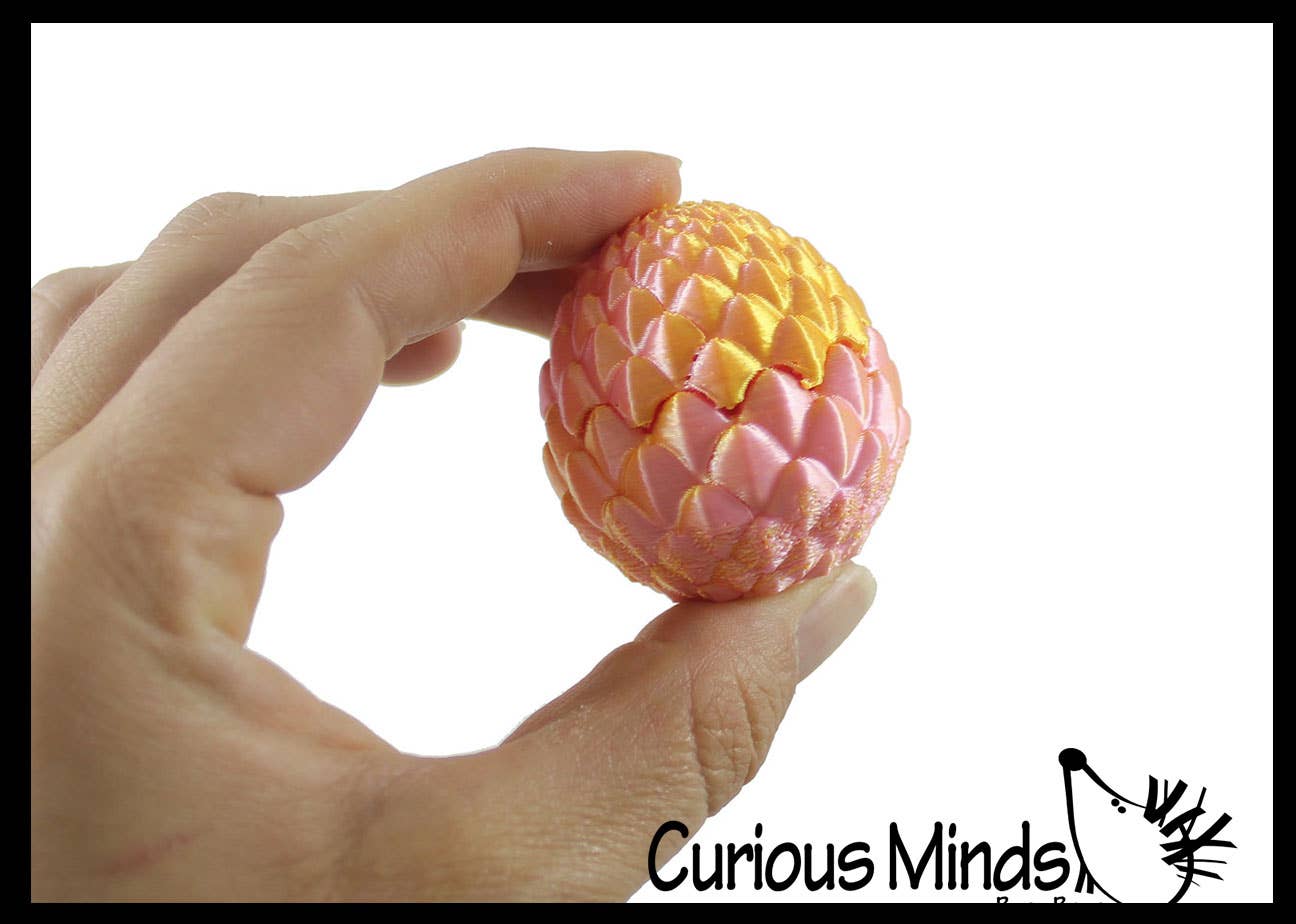 Curious Minds Toys - Wholesale Fidget Toy - Kids - 1 3D Printed Baby Dragon in Egg Fidget Toy - Unique Sensory 3