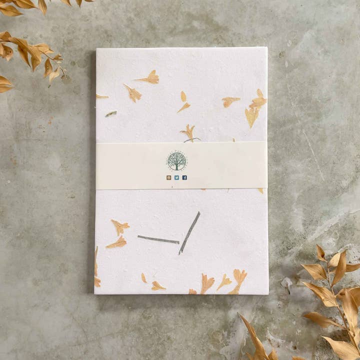 The Natural Paper Company - Wholesale Stationery/Notecard Set - Gaillardia - Flower Handmade Paper and Envelopes | Recycled 1