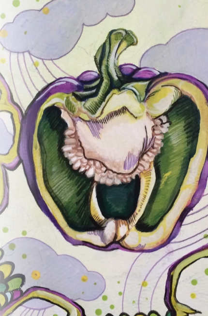 Sow True Seed - Wholesale Plant Seeds - Sweet Pepper Seeds - Purple Beauty1