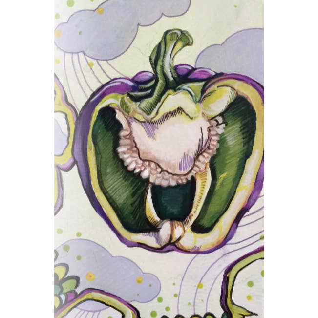 Sow True Seed - Wholesale Plant Seeds - Sweet Pepper Seeds - Purple Beauty1