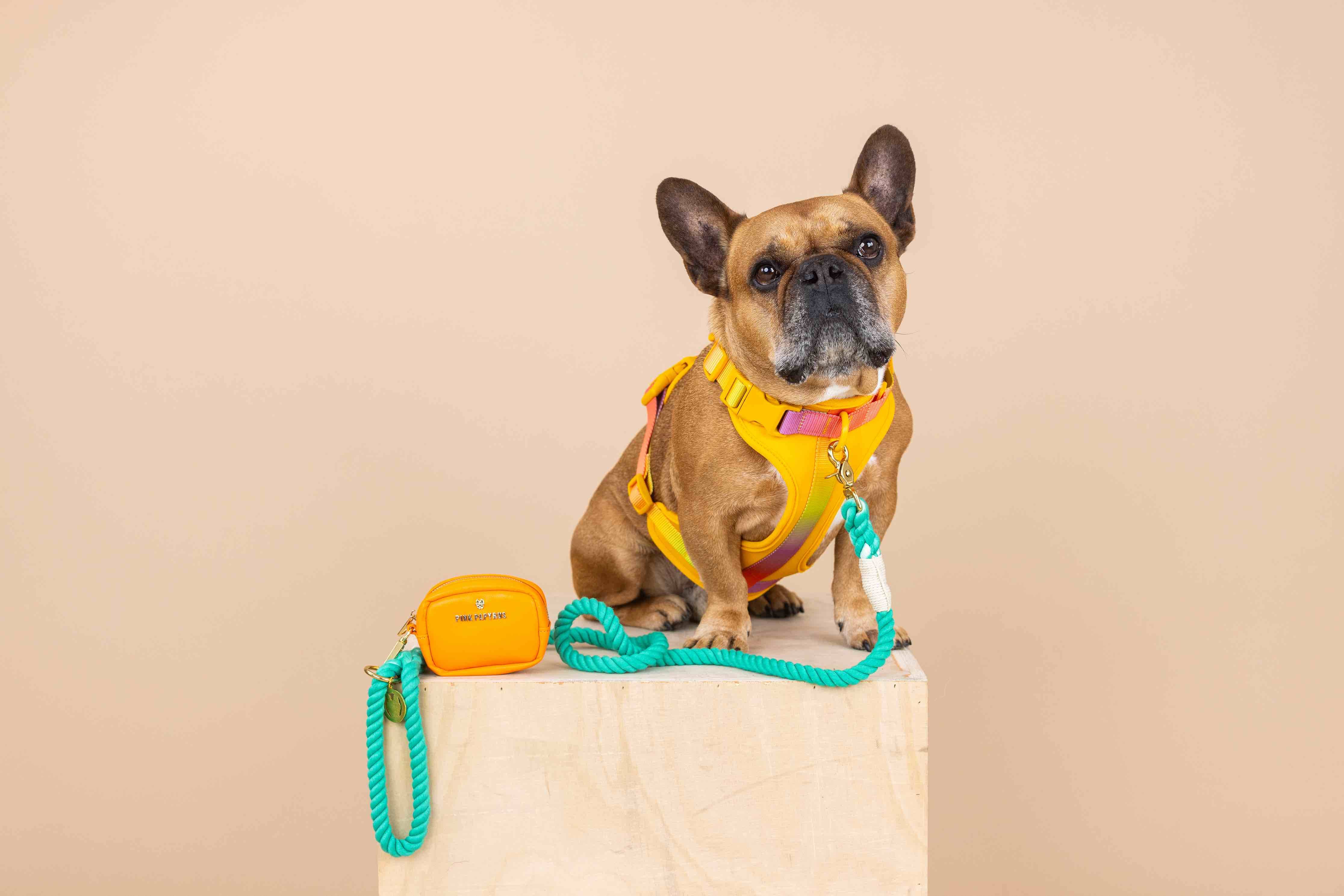 Pink Papyrus | Premium, Durable, & Stylish Dog Products - Wholesale Pet Harness - Dog - Kenna Dog Harness | Yellow Dog Harness | No Pull Dog Harness2