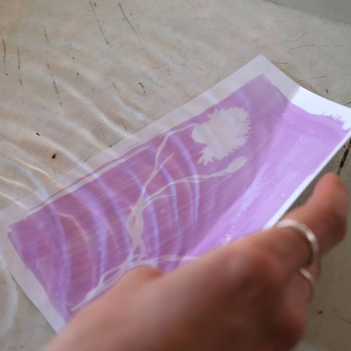 L'Atelier des Epatants - Wholesale Doe-het-zelf-knutselset - Mini-kit rosatype: zoals cyanotype maar in roze!9