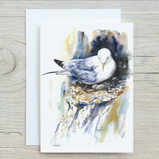"Kittiwake Nesting" A5 Seaside Greetings Card for wholesale by Naomi Neale Art