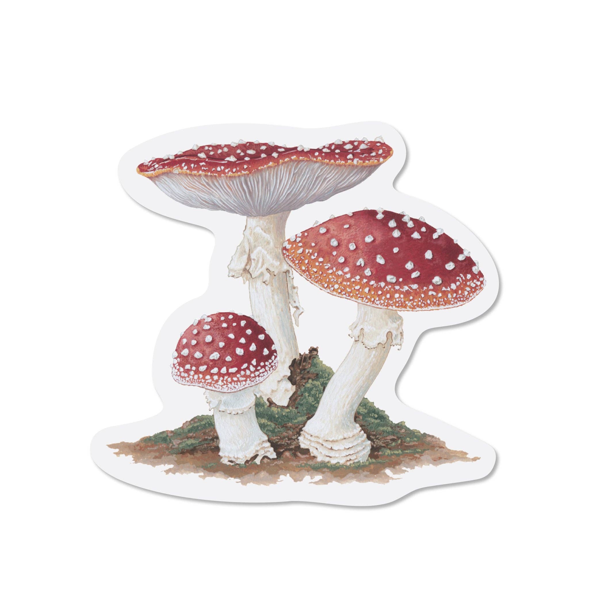 Open Sea - Wholesale Sticker - Amanita Muscaria Sticker