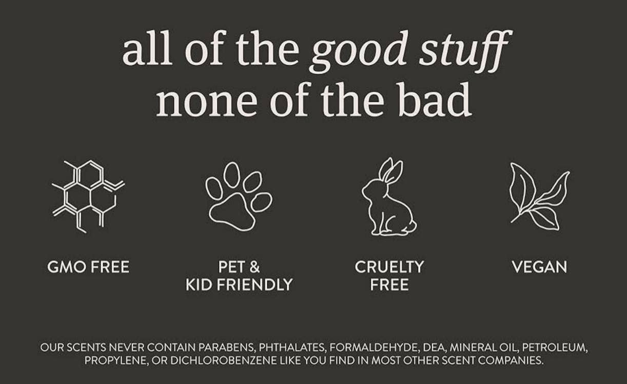 Sunday Grace Studio - Venta al por mayor Ambientador de coche - Mujer - Ambientador de coche con versículo bíblico cristiano Jeremías 29:11 Océano3