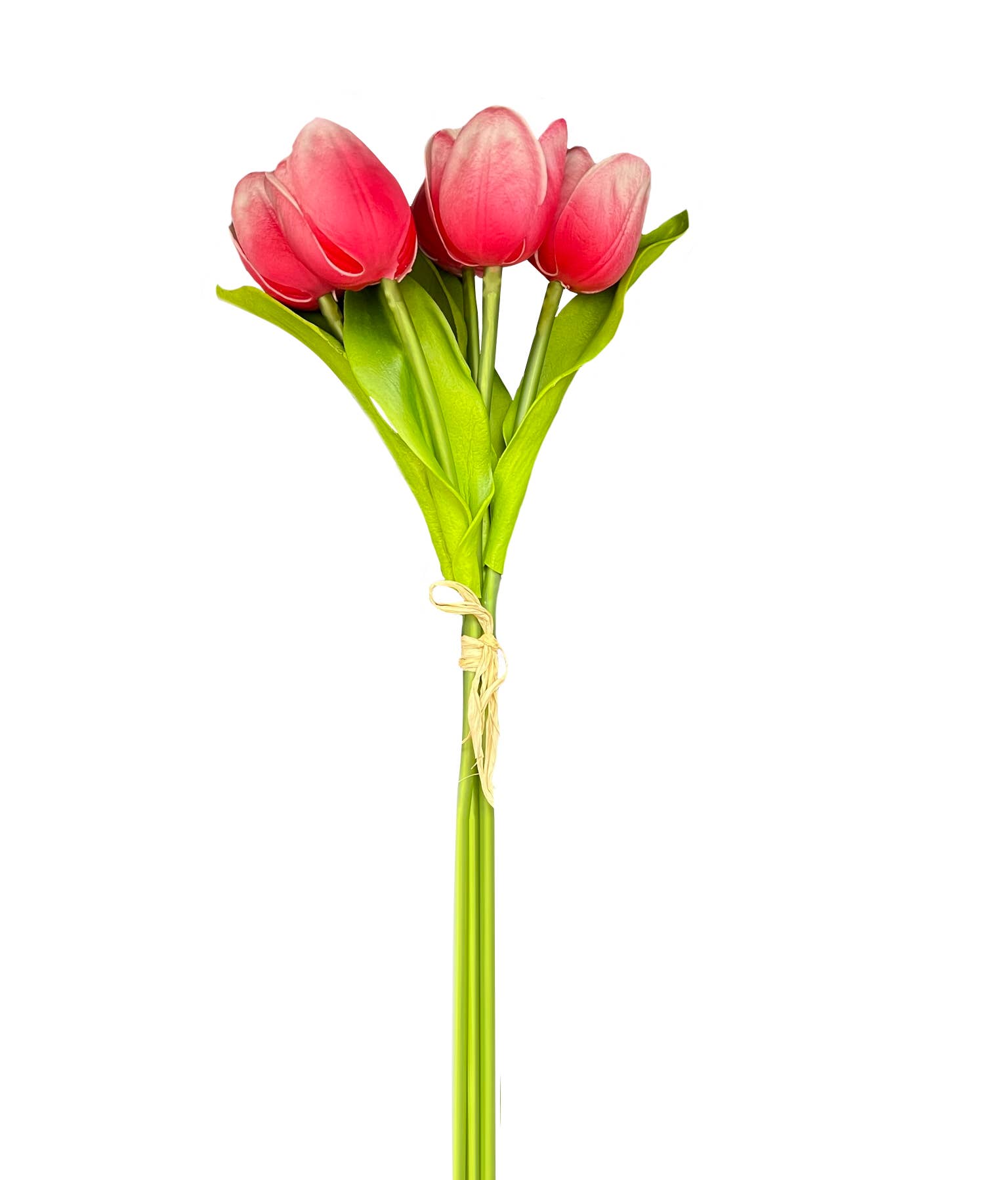 Angel Isabella – wholesale Artificial flowers – Pack of 5-stems Real Touch medium open tulip21