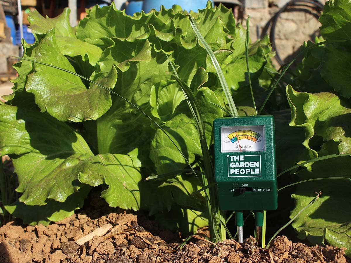 JARDIN Y NATURA OUTDOOR & GARDEN PRODUCTS SL - Wholesale Garden Tool - Moisture and pH meter for soils - DUO TERRA2