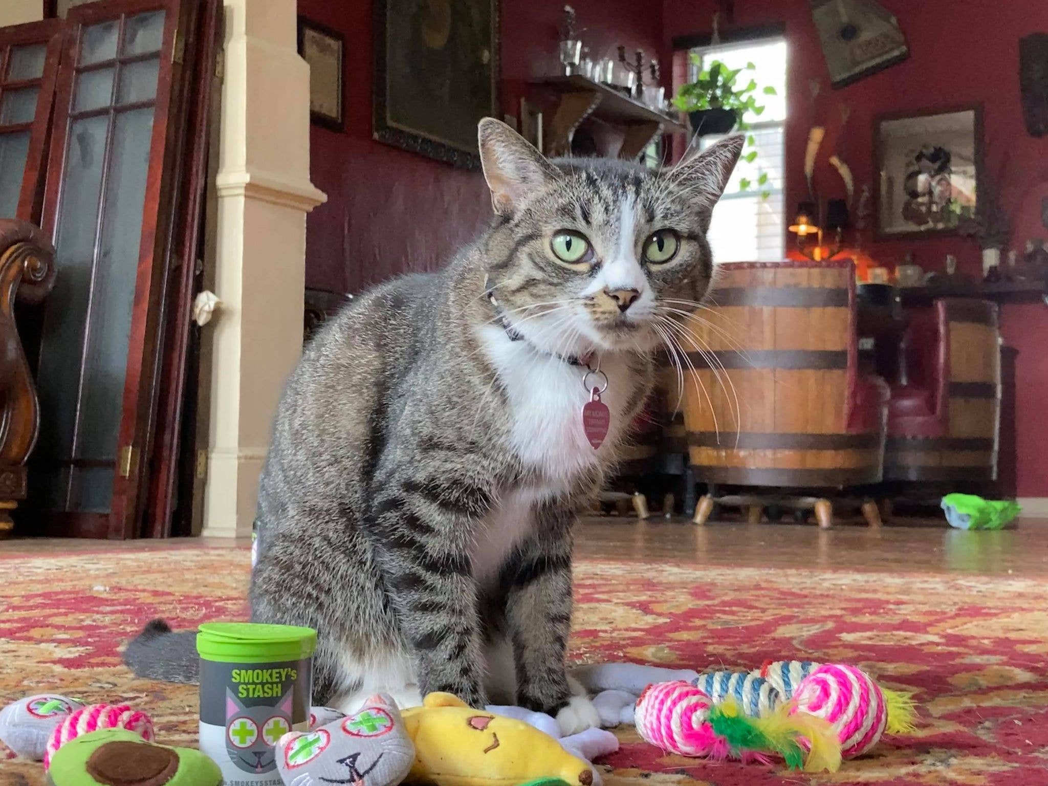 Smokey's Stash - Wholesale Catnip - Smokey's Stash Organic Catnip Og Puss Pop Top2