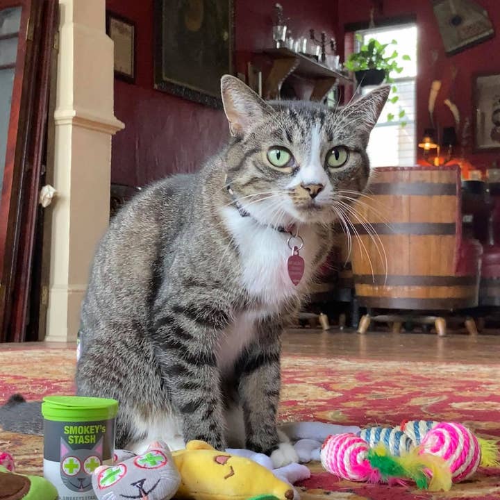 Smokey's Stash - Wholesale Catnip - Smokey's Stash Organic Catnip Og Puss Pop Top2