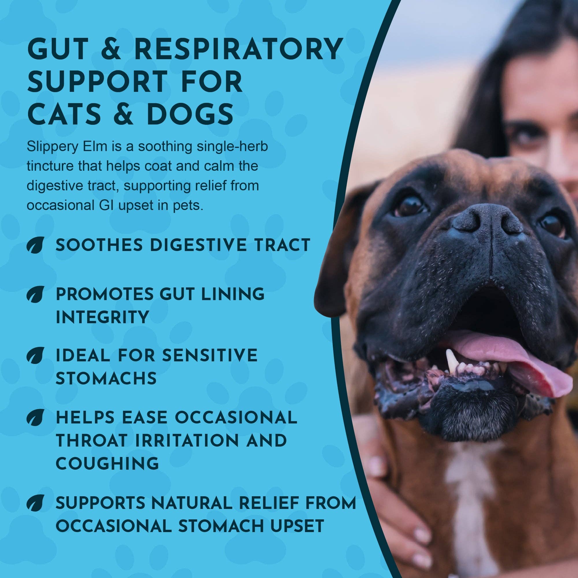 Animal Essentials - Wholesale Pet Supplement - Cat/Dog - Slippery Elm Herbal Tonic | Supports Gut Health & Respiration5