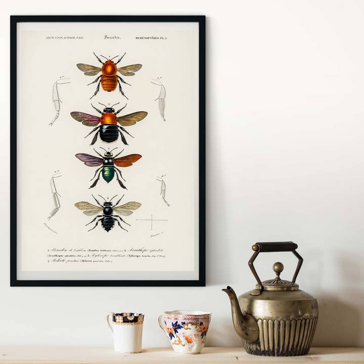 Framed Vintage Bees Print for wholesale by Lelloliving