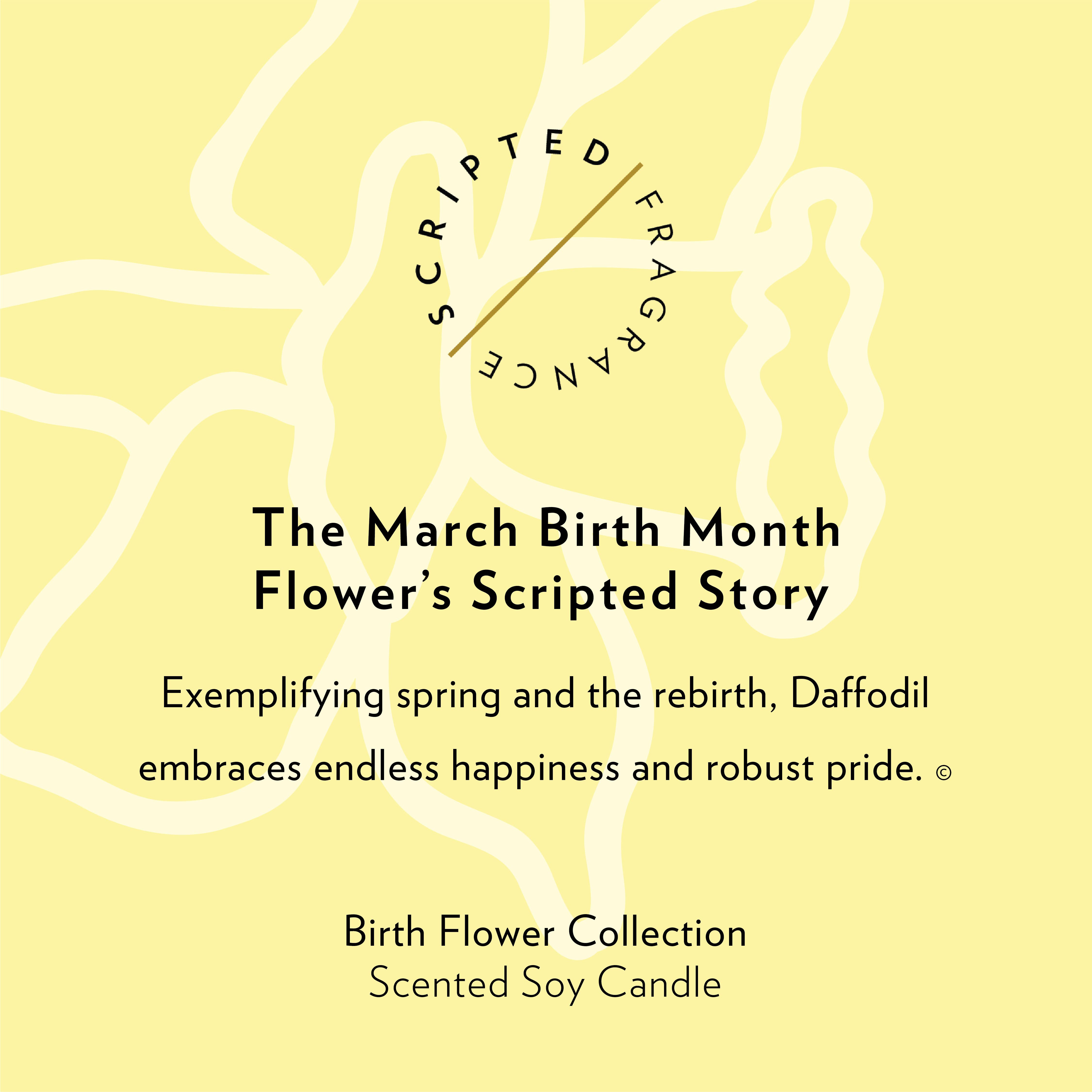 Scripted Fragrance - Wholesale Jar/Filled Candle - March Birth Flower Soy Candle6