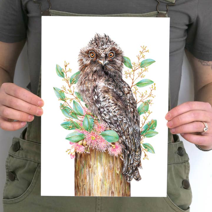 Stampa d'Arte di Tawny Frogmouth per la vendita all'ingrosso da parte di Kayla Reay Design