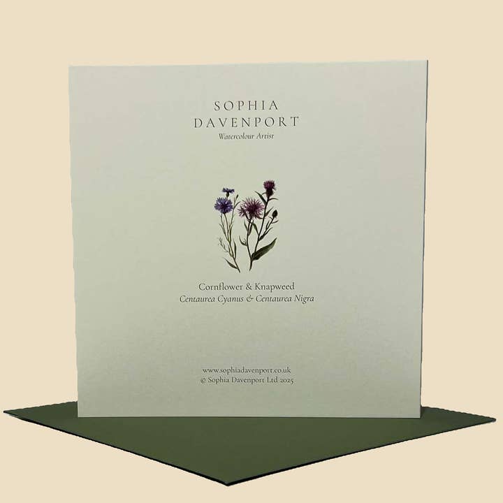 Sophia Davenport - Wholesale Everyday Greeting Card - Wildflower Greeting Cards and Notelets9