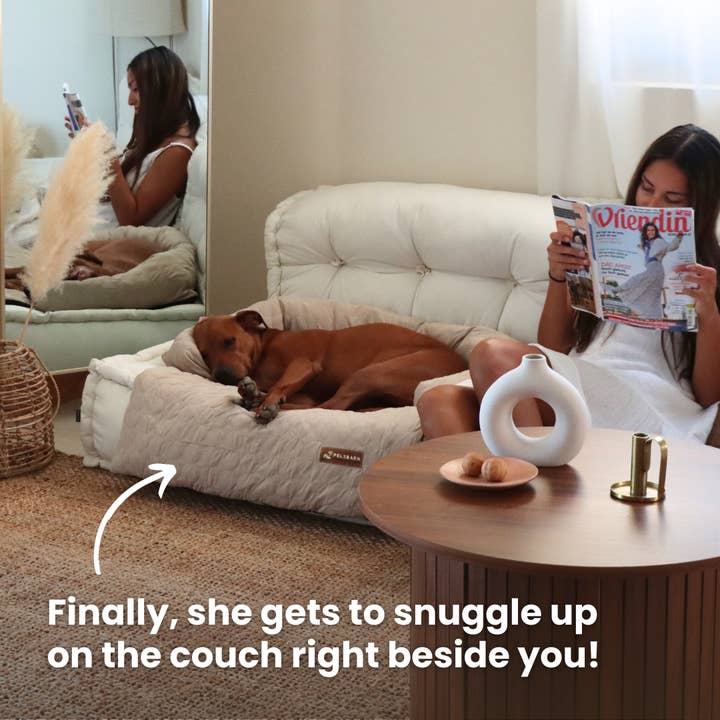 Pelsbarn - Wholesale Pet Bed - Dog - HeatRelief™ Cooling Dog Bed - Pelsbarn Helps Shelter Dogs!1