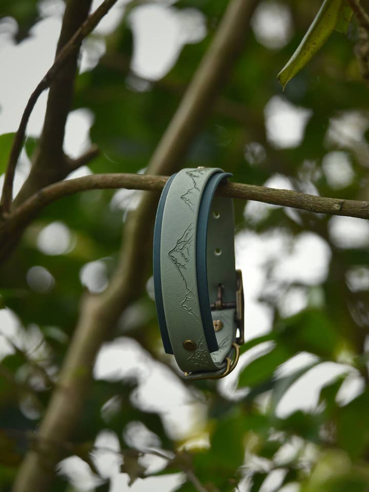 Bodenständig - Geprägtes Hundehalsband für den Großhandel von Woof and Snout