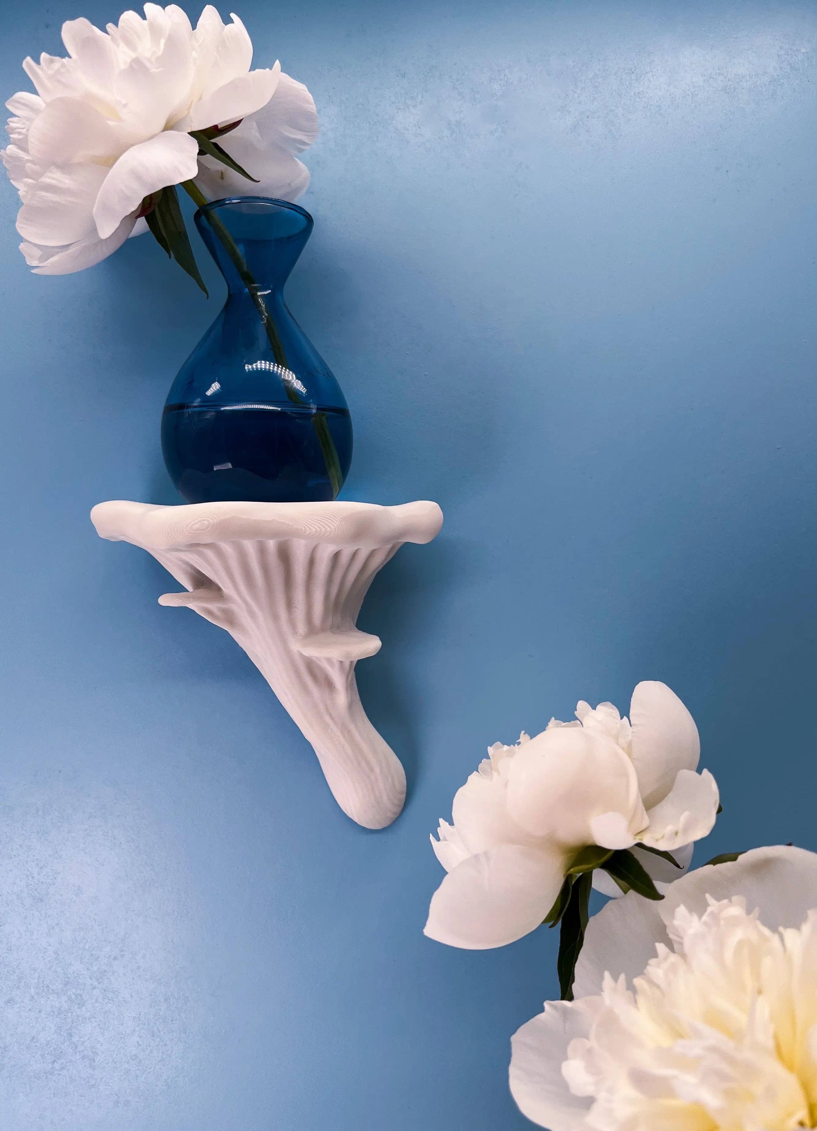 Roomberry - Wholesale Wall Mounted Shelf - Floating Oyster Mushroom Wall Shelf0