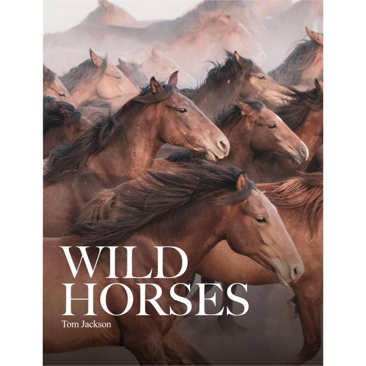 Union Square & Co. - Wholesale Book - Adult - Wild Horses by Tom Jackson