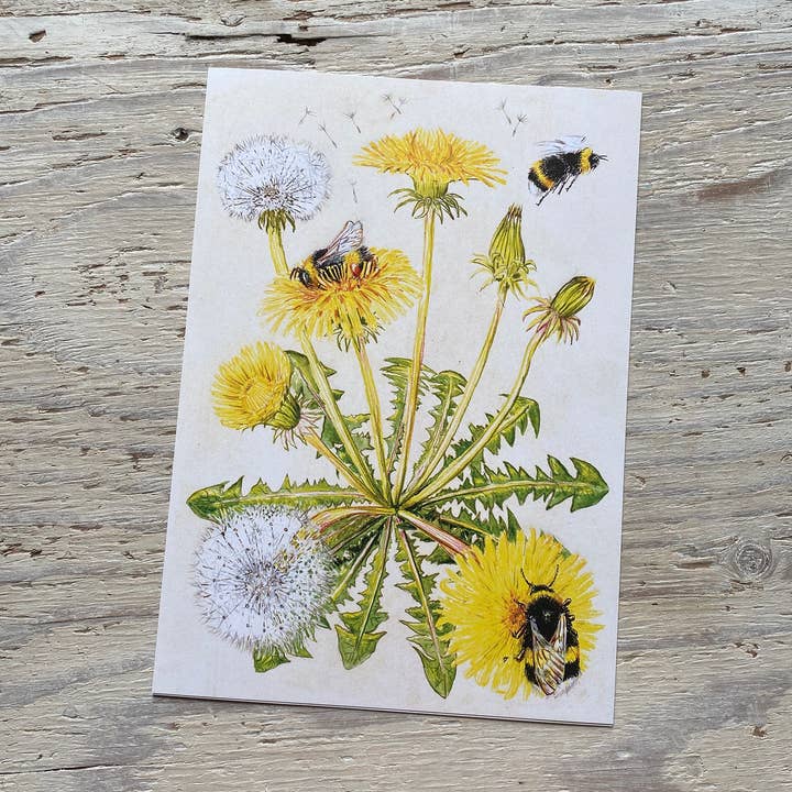 Bumblebee and Dandelion Print for wholesale by Lifeforms Art