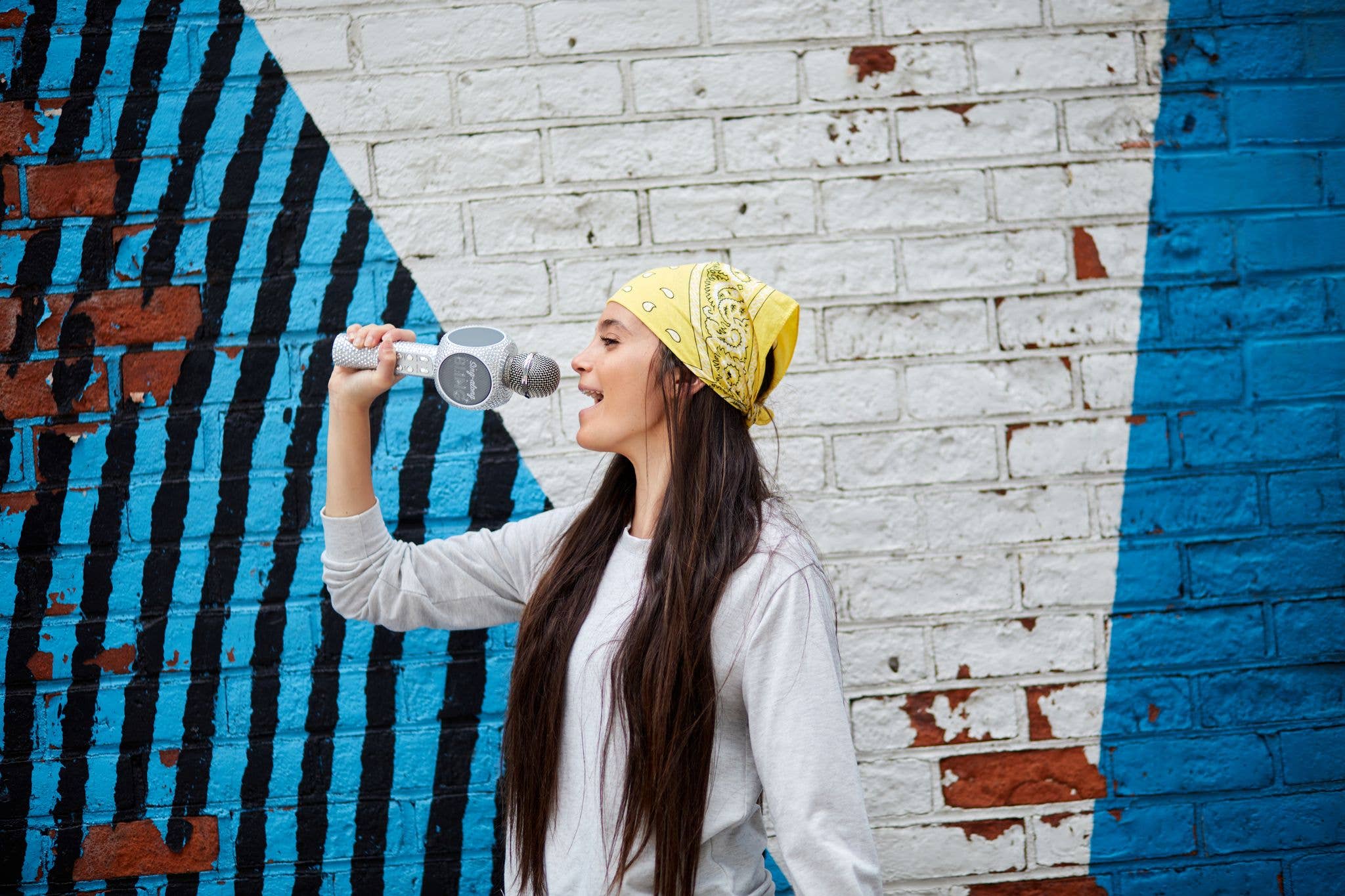 Trend Tech Brands - Wholesale Speakers - Silver Bling Karaoke Microphone & Bluetooth Speaker4