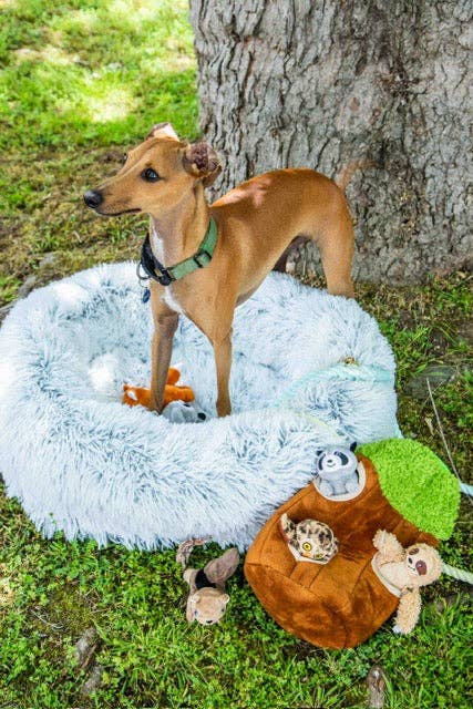Glow Pups – wholesale Pet bed – Dog – Calming Faux Fur Dog Bed with Memory Foam Bolster4