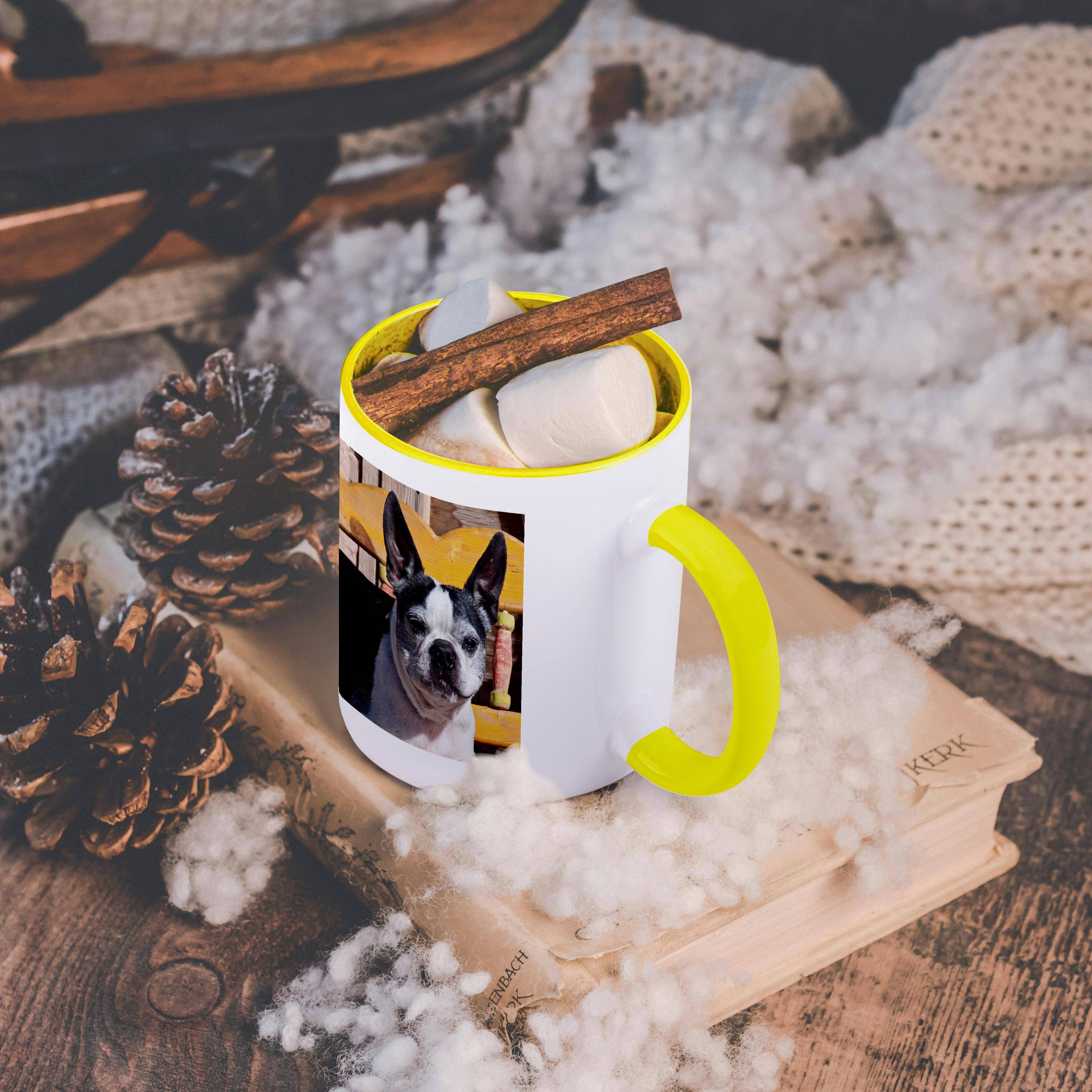 3dRose - Wholesale Coffee Mug - 3dRose, A Boston Terrier dog on a painted bench - US32 ZMU0007 - Zandria Muench Beraldo, Mug5