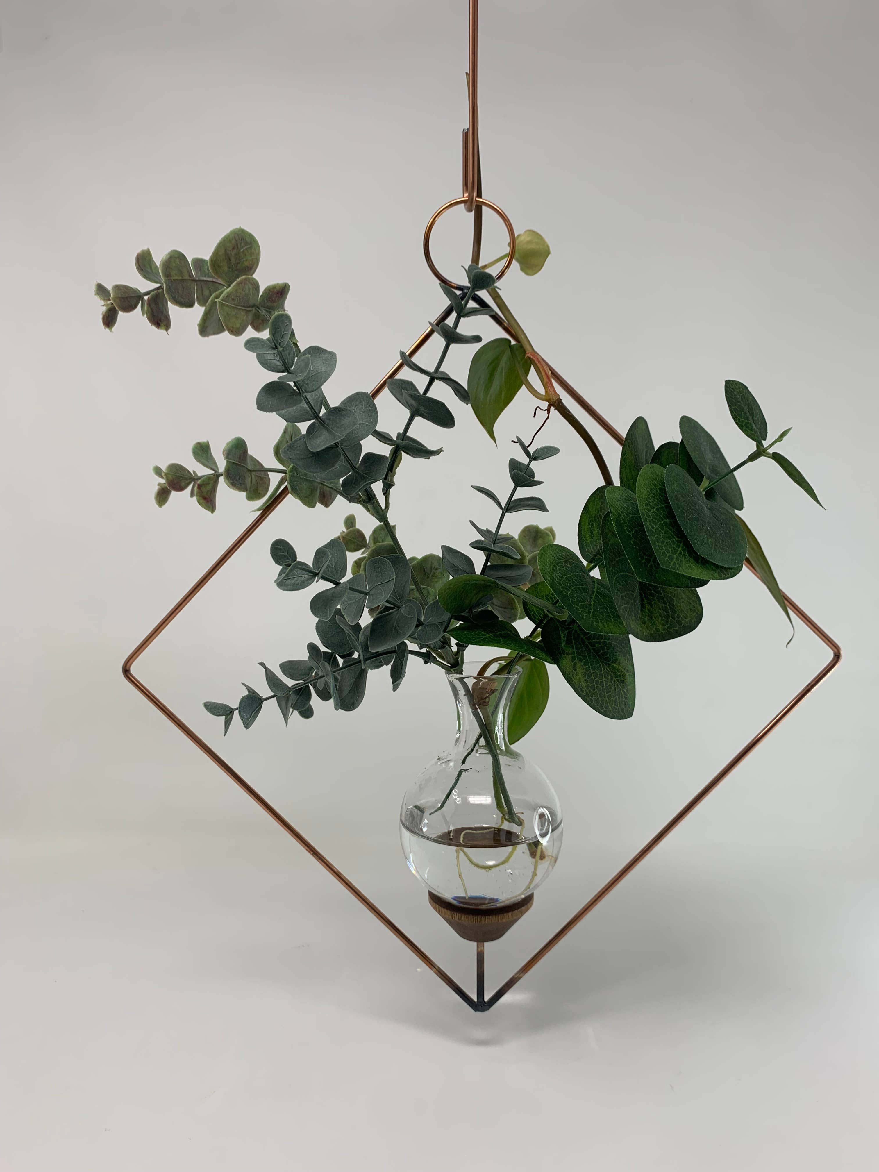 The Brass Butterfly - Wholesale Vase - Square Plant Propagation Rooting Vase2