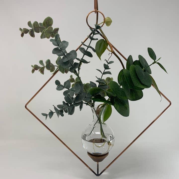 The Brass Butterfly - Wholesale Vase - Square Plant Propagation Rooting Vase2