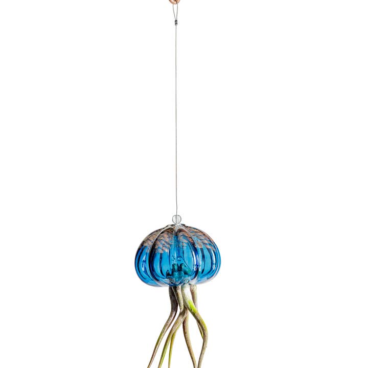 ApricotMint - Wholesale Hanging Planter - Cauliflower Jellyfish Air Plant Holder (plant not included)2