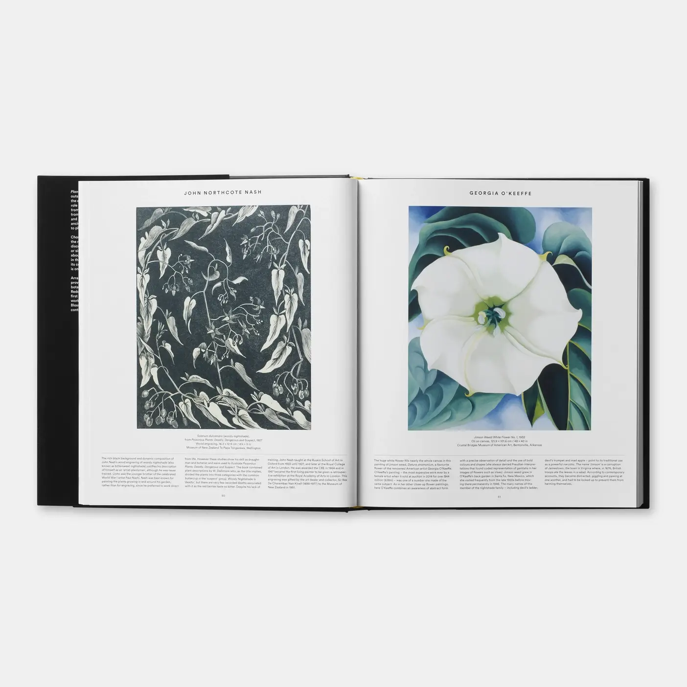 Phaidon - Wholesale Nature & Outdoors - Plant2