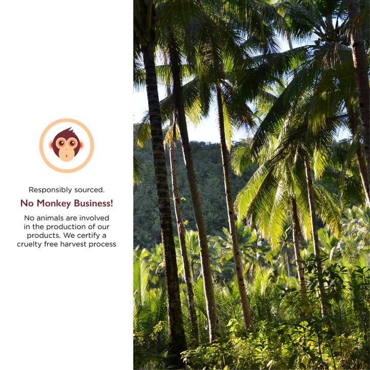 Miracle Palm - Wholesale Cooking Oil - Organic Virgin Coconut Oil (1 Gallon)