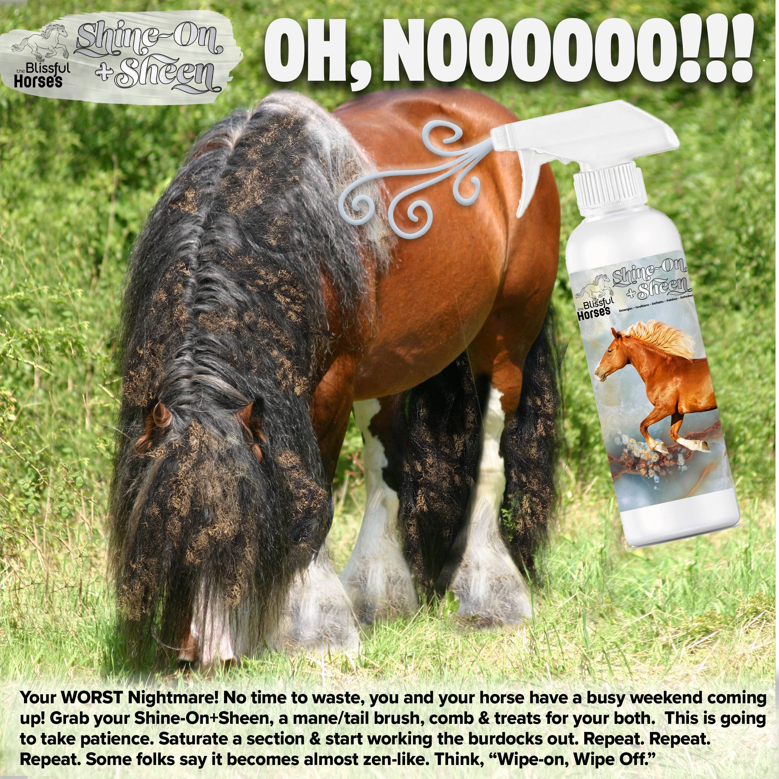 The Blissful Dog - Vente Produit de toilettage – chien - Spray Brillance et Éclat Shine-On+Sheen pour Chevaux The Blissful Dog6