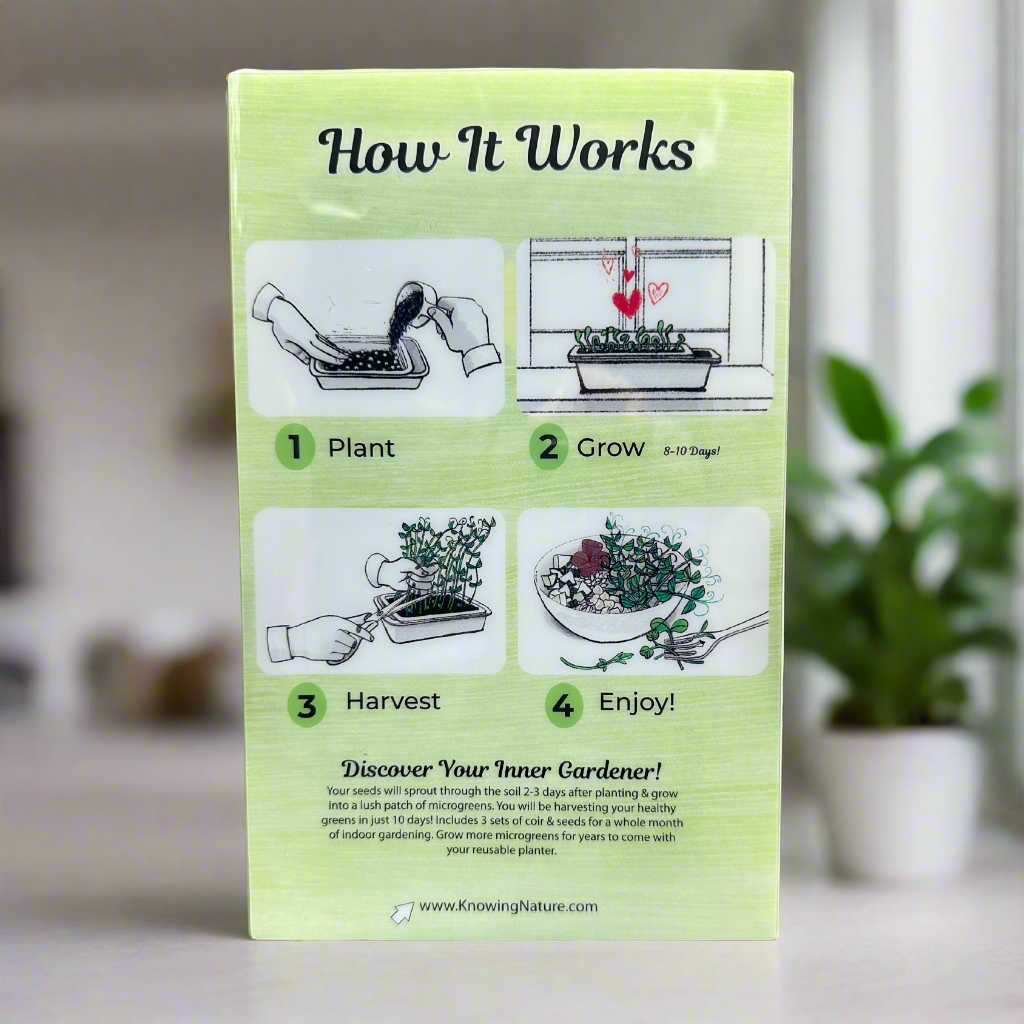 Knowing Nature - Vente Pot - Kits de culture biologique pour micropousses2