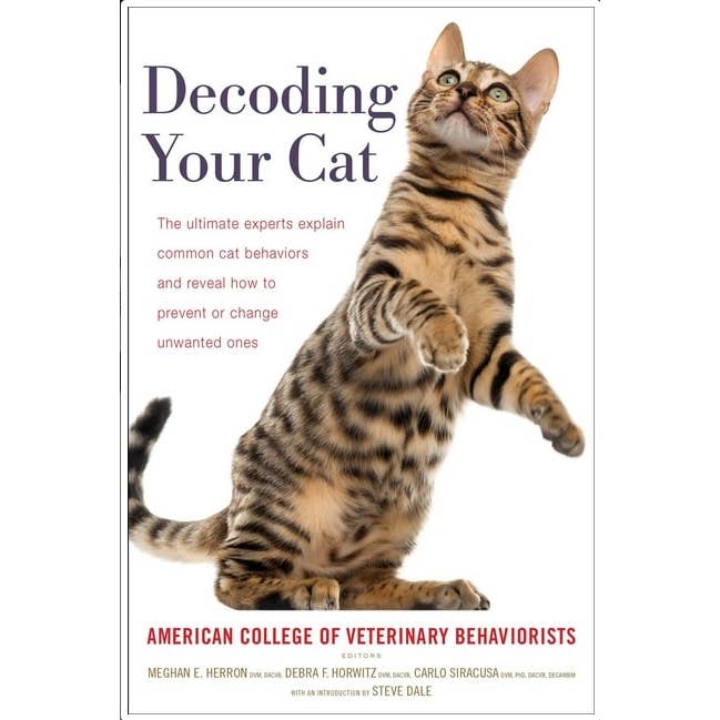 Decoding Your Cat: Experts Explain Common Cat Behaviors for wholesale by Microcosm Publishing & Distribution