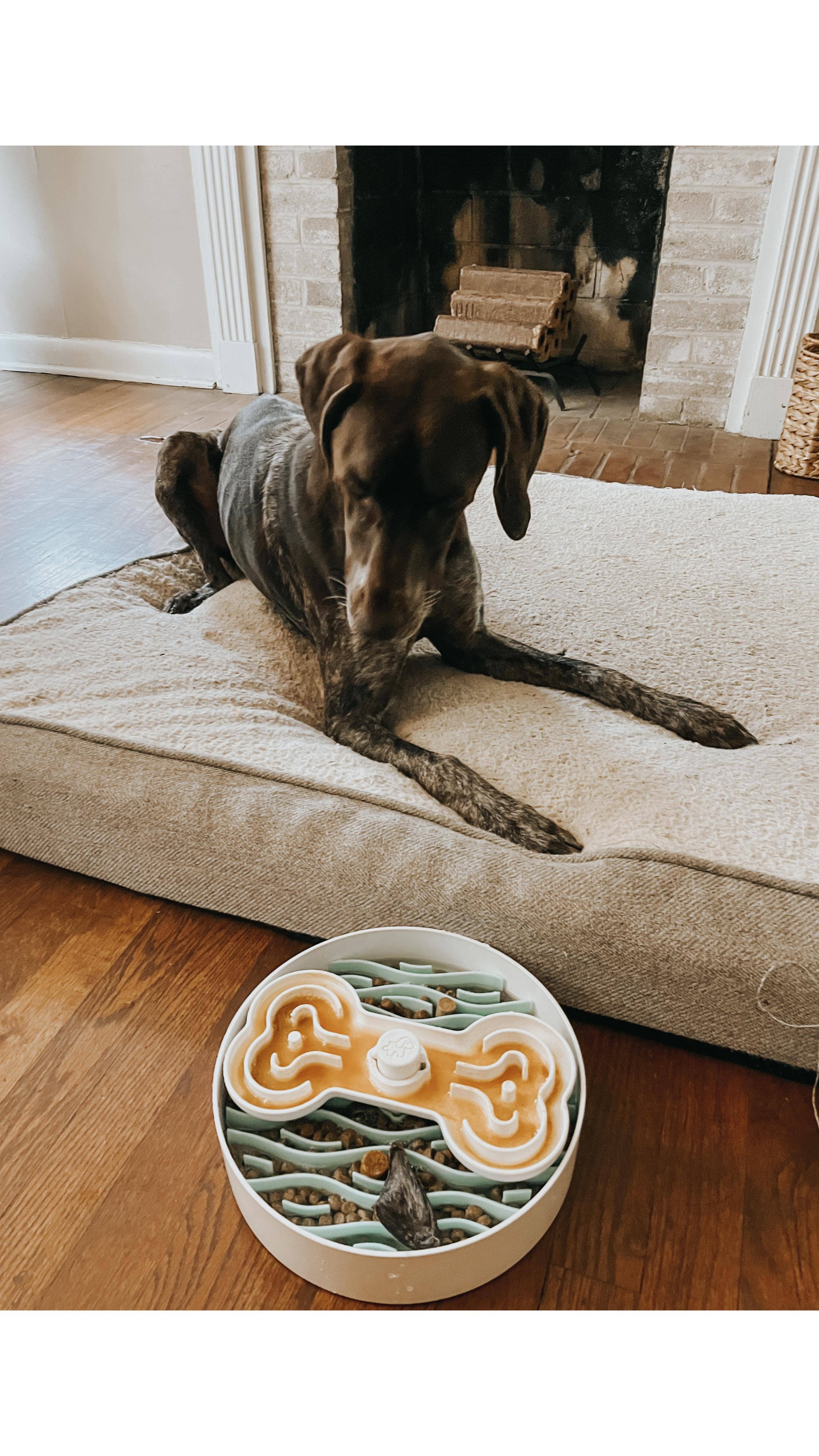 Pet Future llc - Vendita all'ingrosso Ciotola - Cani e gatti - Ciotola Puzzle Feeder per Cani a Alimentazione Lenta, Adatta a Tutte le Razze7