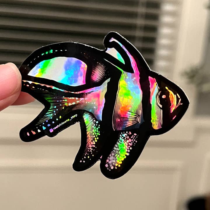 Benggai Cardinalfish (Holographic) for wholesale by Reef of Clowns