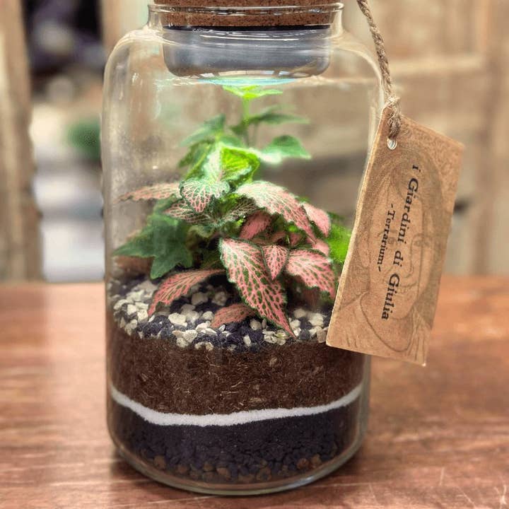 I Giardini Di Giulia - Vendita all'ingrosso Terrari - Terrarium Lumina