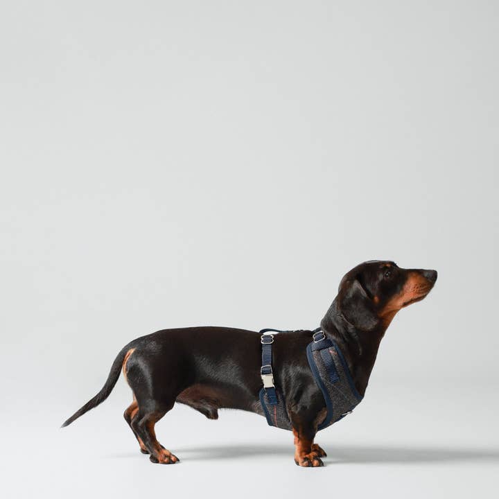 Hugo & Hudson – wholesale Pet harness – Dog – Hackett x Hugo Hudson Grey Checked Tweed Dog Harness5
