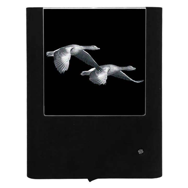 Gansos gravados por atacado de Nightlight Studio