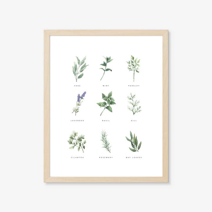 Natasha Vanderburg Co. - Vente Affiche d'art - Reproduction artistique de jardin d'herbes aromatiques1