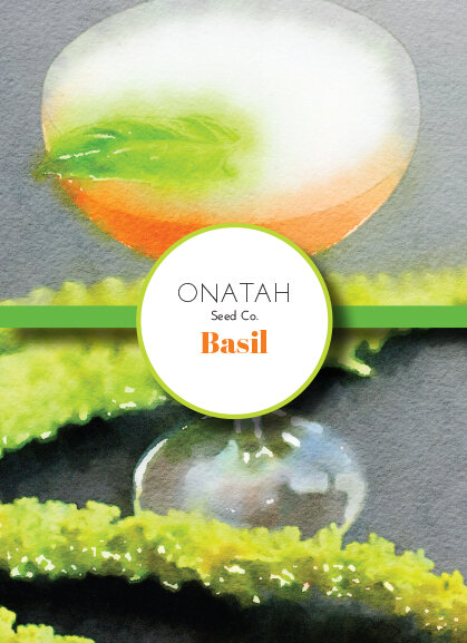 Onatah - Wholesale Zaadjes voor platten - Cocktail Herb Garden4
