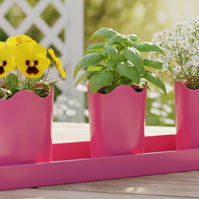 Wavy 2-inch APW Flower 3-Pots with 1-Rectangle Saucer for wholesale by Austin Planter