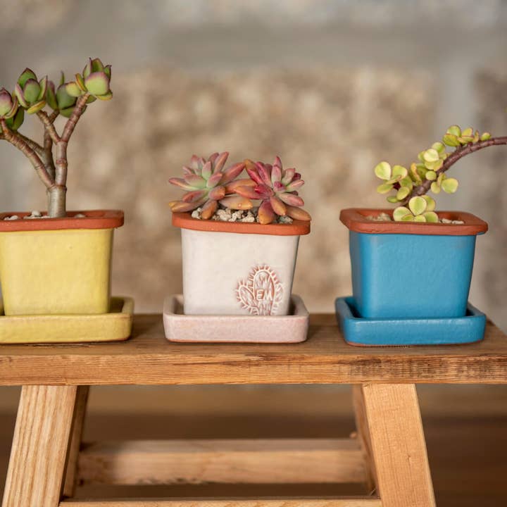 Vasos Quadrados by EM – wholesale Plant pot – MINI SQUARE VASE 6x6 - FUSION1