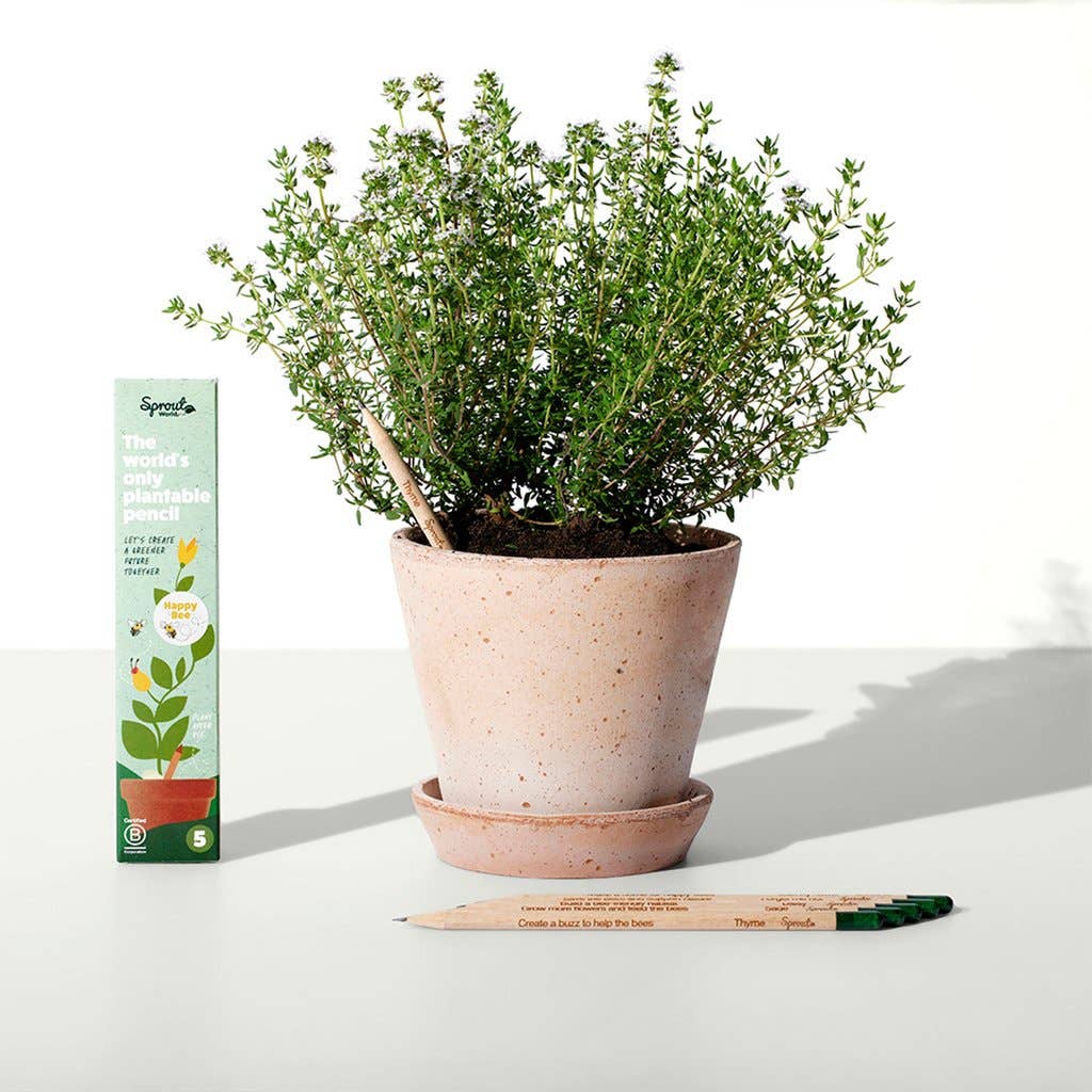 SproutWorld - Wholesale Pencil - SproutWorld Plantable Pencils | Happy Bee · 5 Pack2