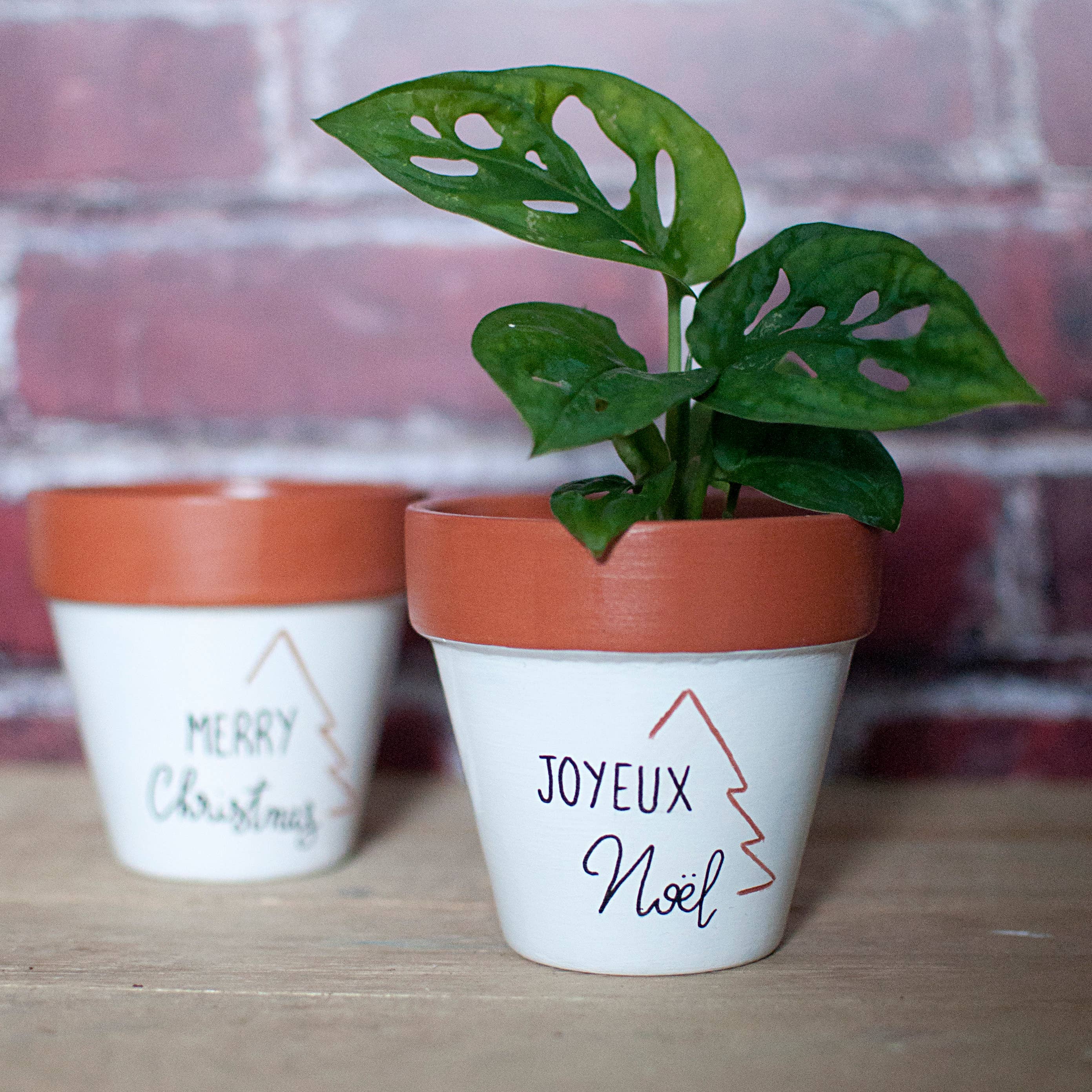 Happypots.fr - Wholesale Plant Pot - Terracotta Cachepot: Joyeux Noel / Merry Christmas2